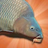 Icona di Carp Fishing Simulator